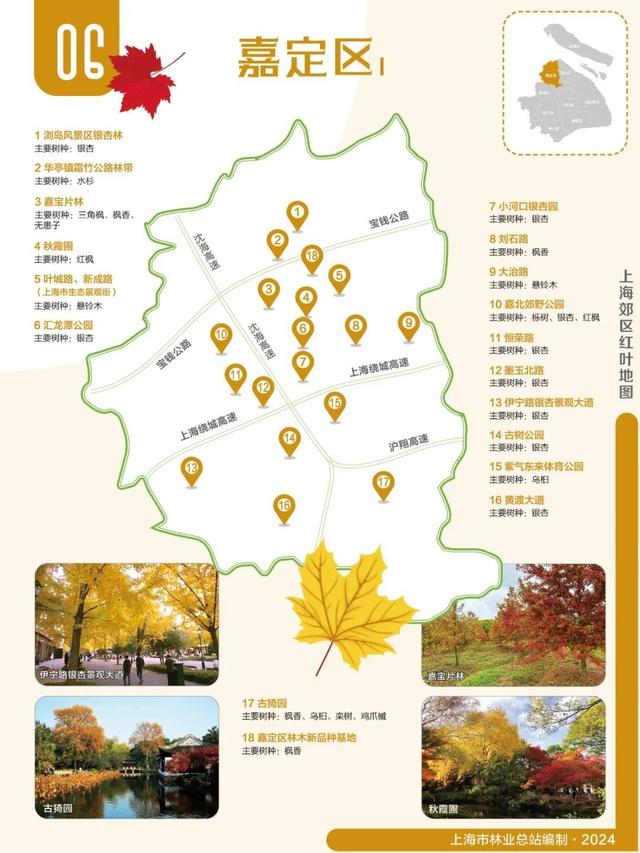 2024版红叶地图上线,解锁沪郊深秋的美