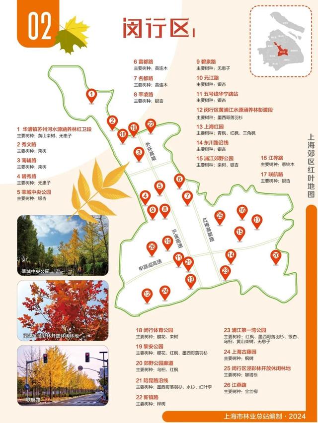 2024版红叶地图上线,解锁沪郊深秋的美