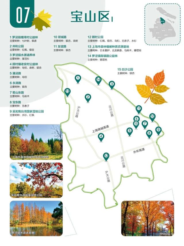 2024版红叶地图上线,解锁沪郊深秋的美