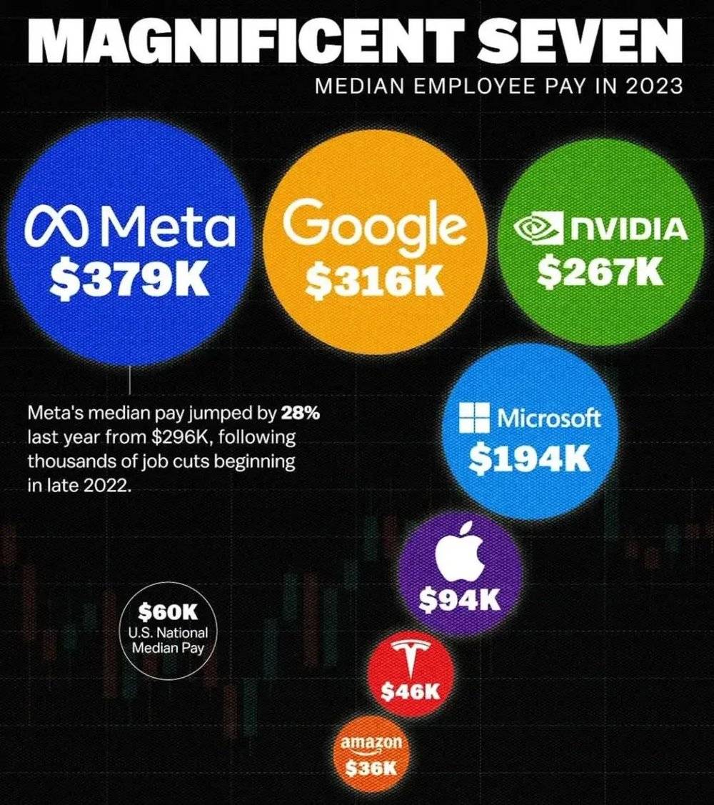 图｜MyLogIQ统计的美国科技七巨头工资中位数