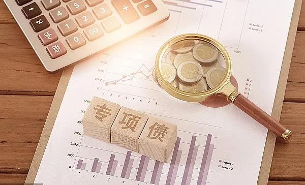 2025年地方政府专项债申报要点发债全过程（附图解）|项目可行性报告_新浪财经_新浪网