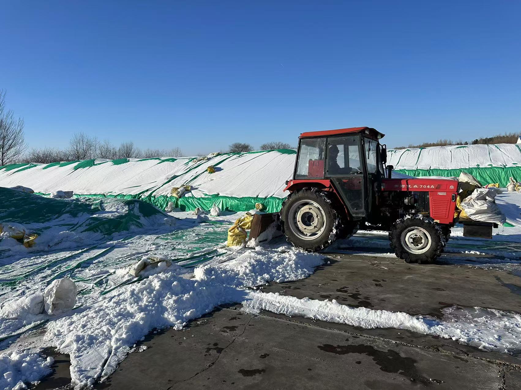 清理晒场上的清雪