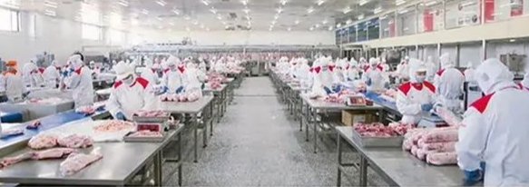 草原鑫河宰杀分割加工场区 图片开始于草原鑫河