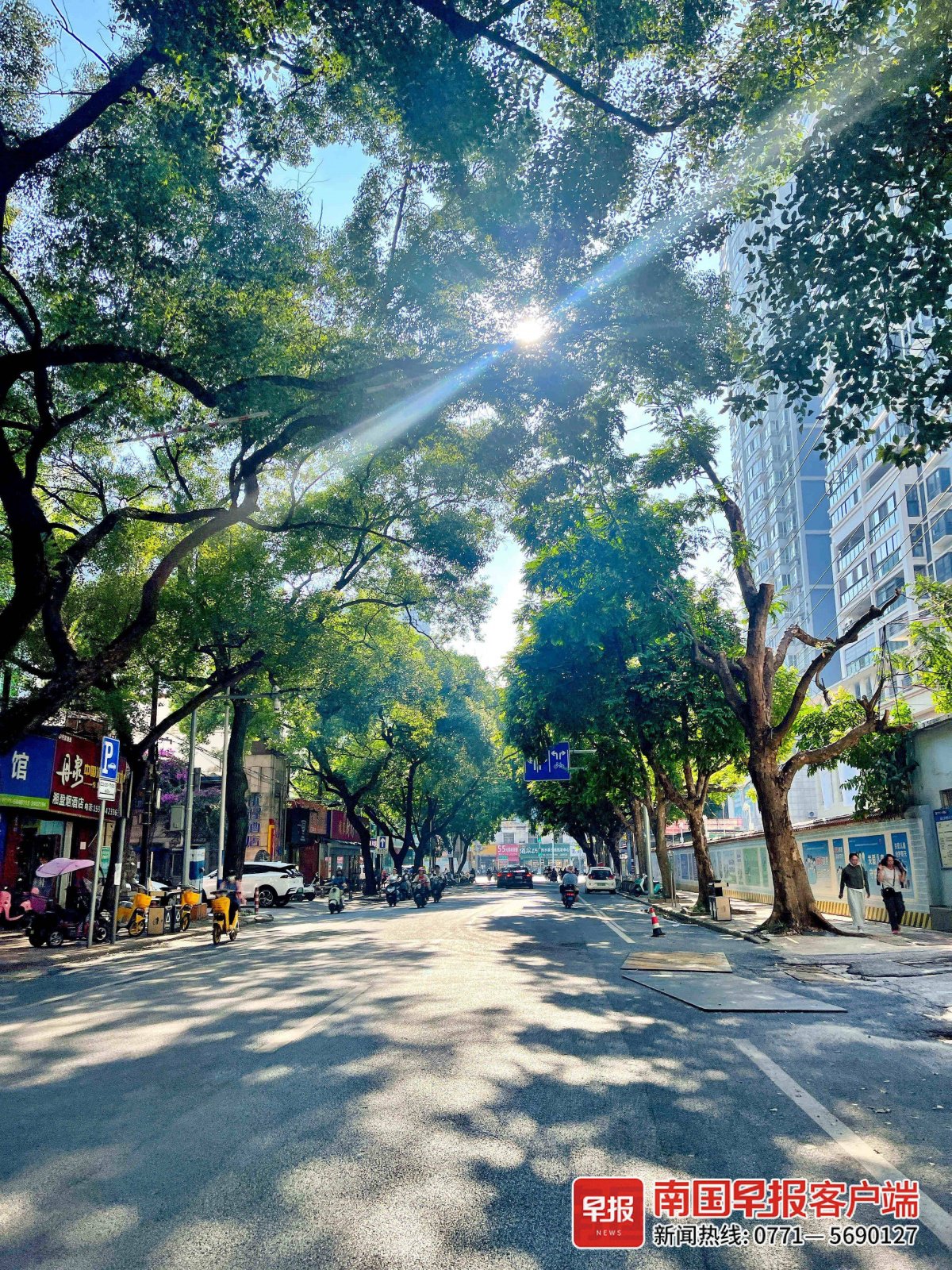 11月14日,南宁市依然艳阳高照