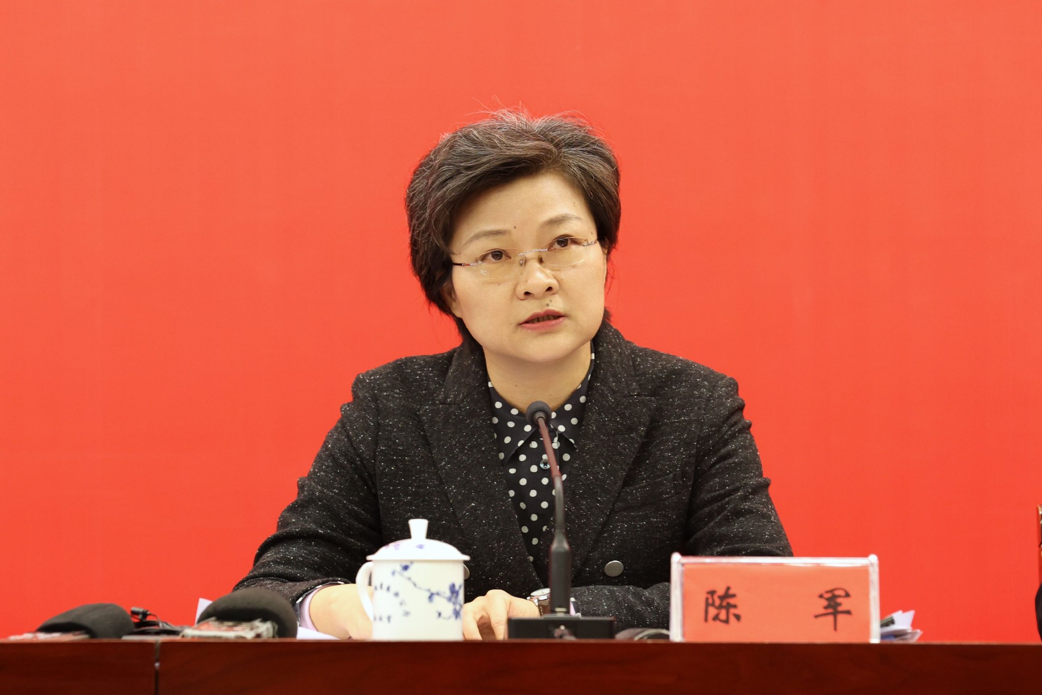 主任陈军就安徽在科技创新和产业转型升级方面的举措回答记者提问