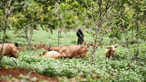 △图源 广东新闻联播