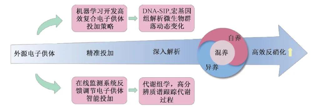 图4 实现多电子供体协同的高效反硝化路径