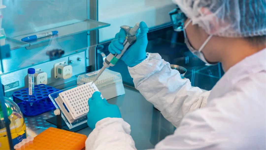 复星医药研发人员正在进行实验 公司供图&nbsp