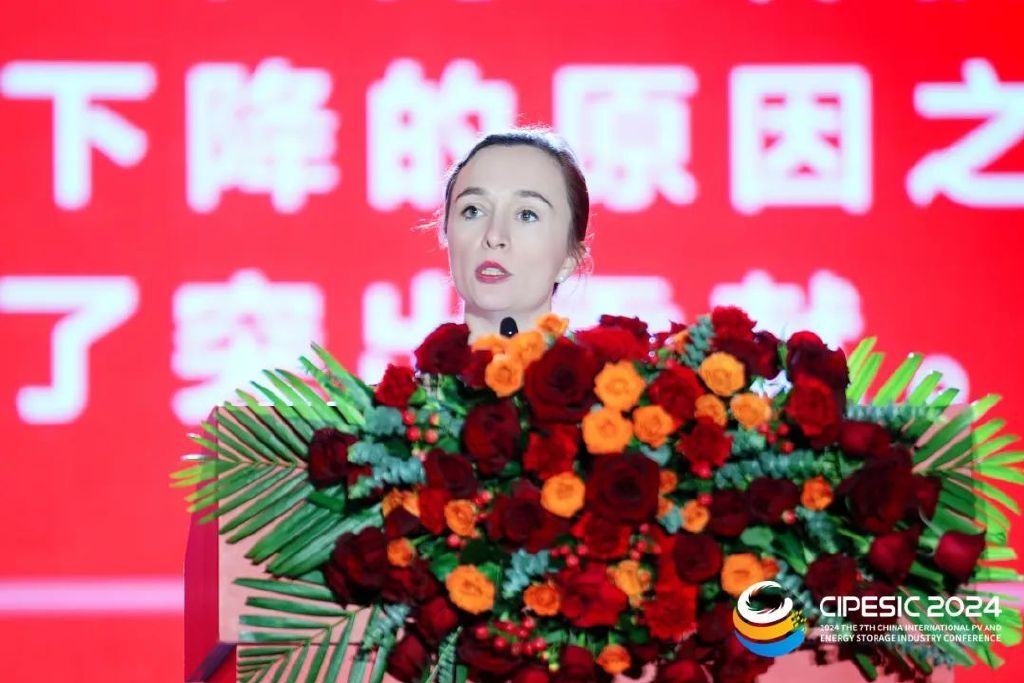 大众太阳能理事会首席履行官索尼娅·邓洛普肥硕发布“中国光储节”官方IP形象