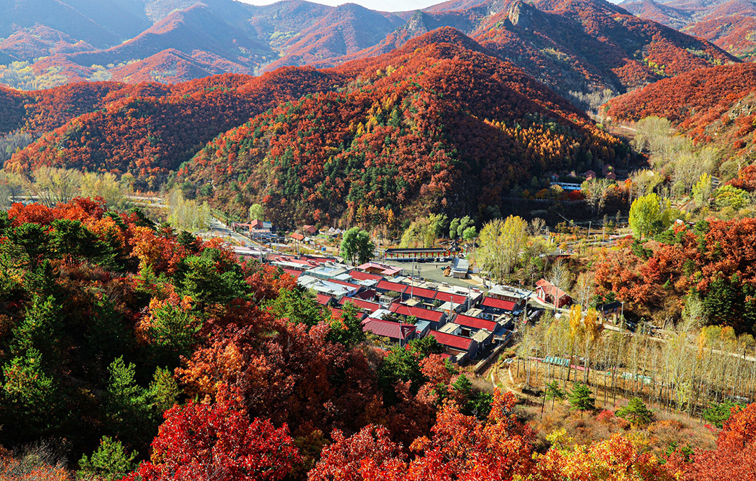 9.喇叭沟门满山红遍 郑朝全摄