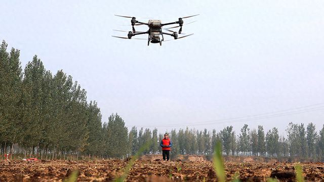 2024年10月21日，山东聊城，农机手操作植保无人机进行小麦施肥作业。视觉中国 资料图