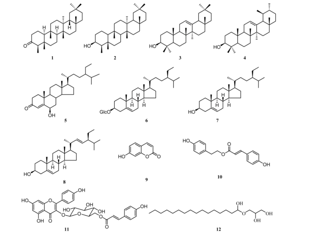 图源：《圆叶牵牛化学成分研究》