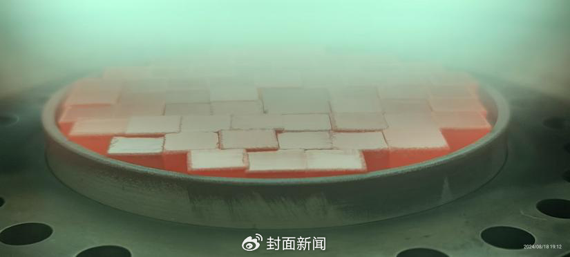孕育中的陶冶钻石（受访者供图）