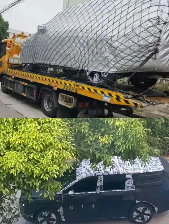 图源：微博@SugarDesign