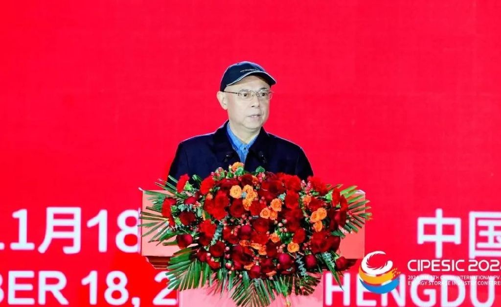 十三届寰球东谈主大常委会委员，民建中央原副主席