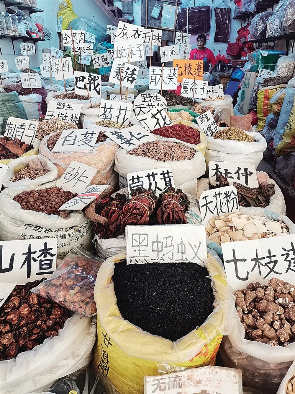 玉林市场上各种中药材香料琳琅满目.