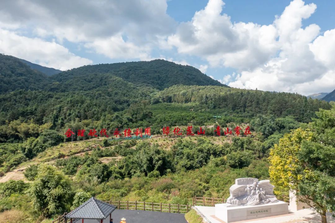 △岳山林场。廖文奕 摄