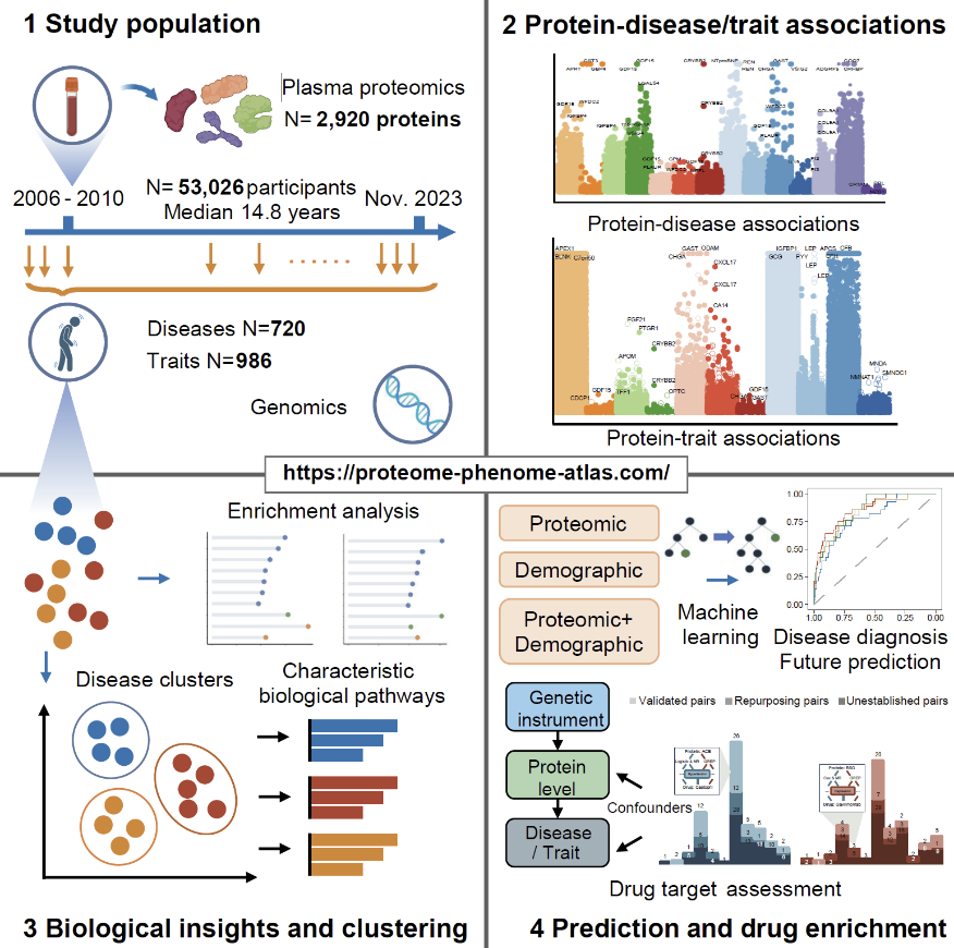 人类健康与疾病血浆蛋白质组图谱。图片来源于《细胞》