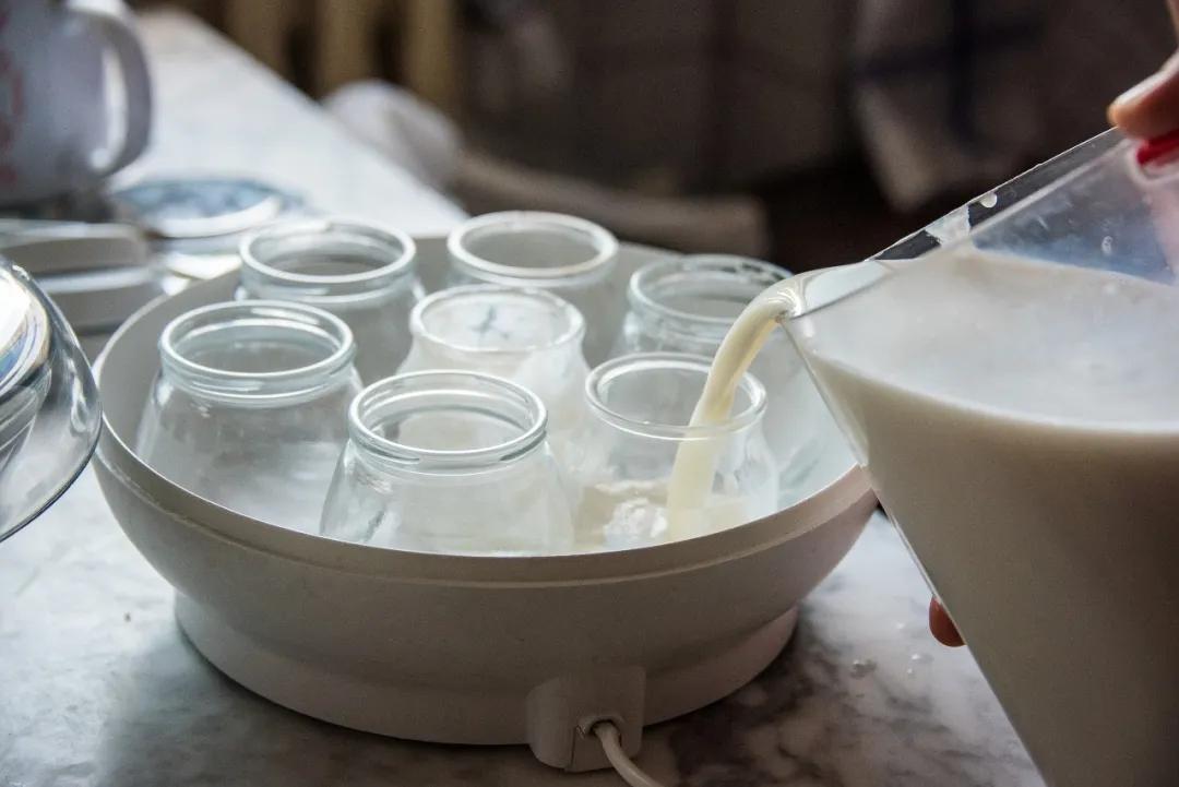 将牛奶倒入酸奶机制作酸奶图源视觉中国