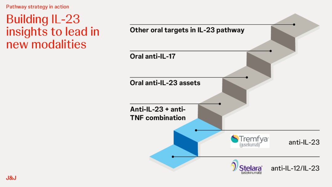 图2 强生自免界限的研发策略旅途