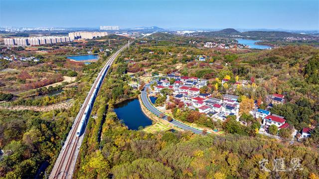 12月1日，南京市溧水区永阳街道东山村层林尽染，与飞驶的列车、美丽的乡村等相映成景。朱红生摄 视觉江苏网供图