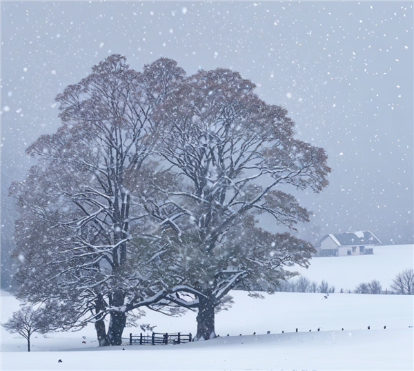 【本文结束】如需转载请务必注明出处：快科技责任编辑：随心文章内容举报