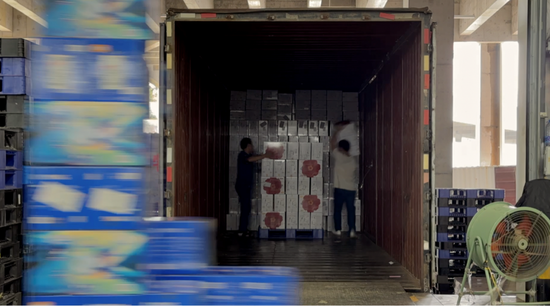 ▲山茶裤成为拼多多热销品，物流人员正紧急发货。（摄影 程艺辉）