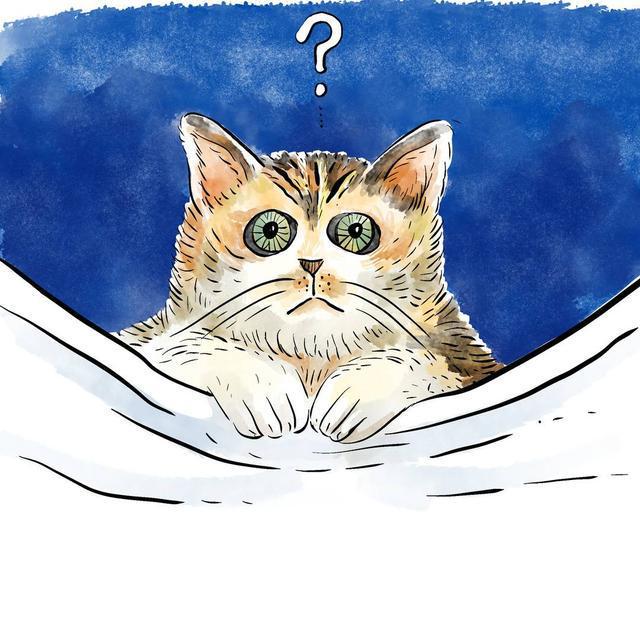 大众甲壳虫汽车2022款报价图片