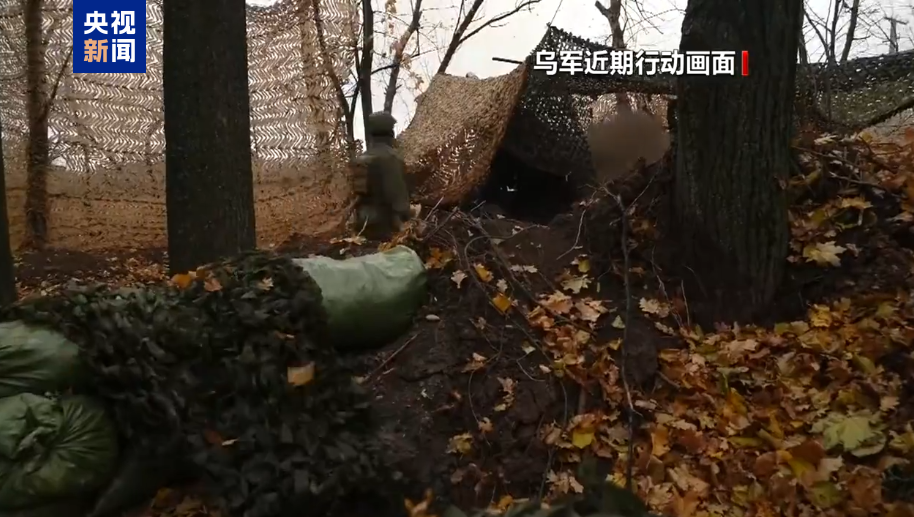 图片来源:视频截图