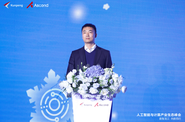 华为云大数据与东说念主工智能领域副总裁陈飞