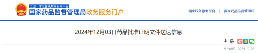截图来源：NMPA 官网