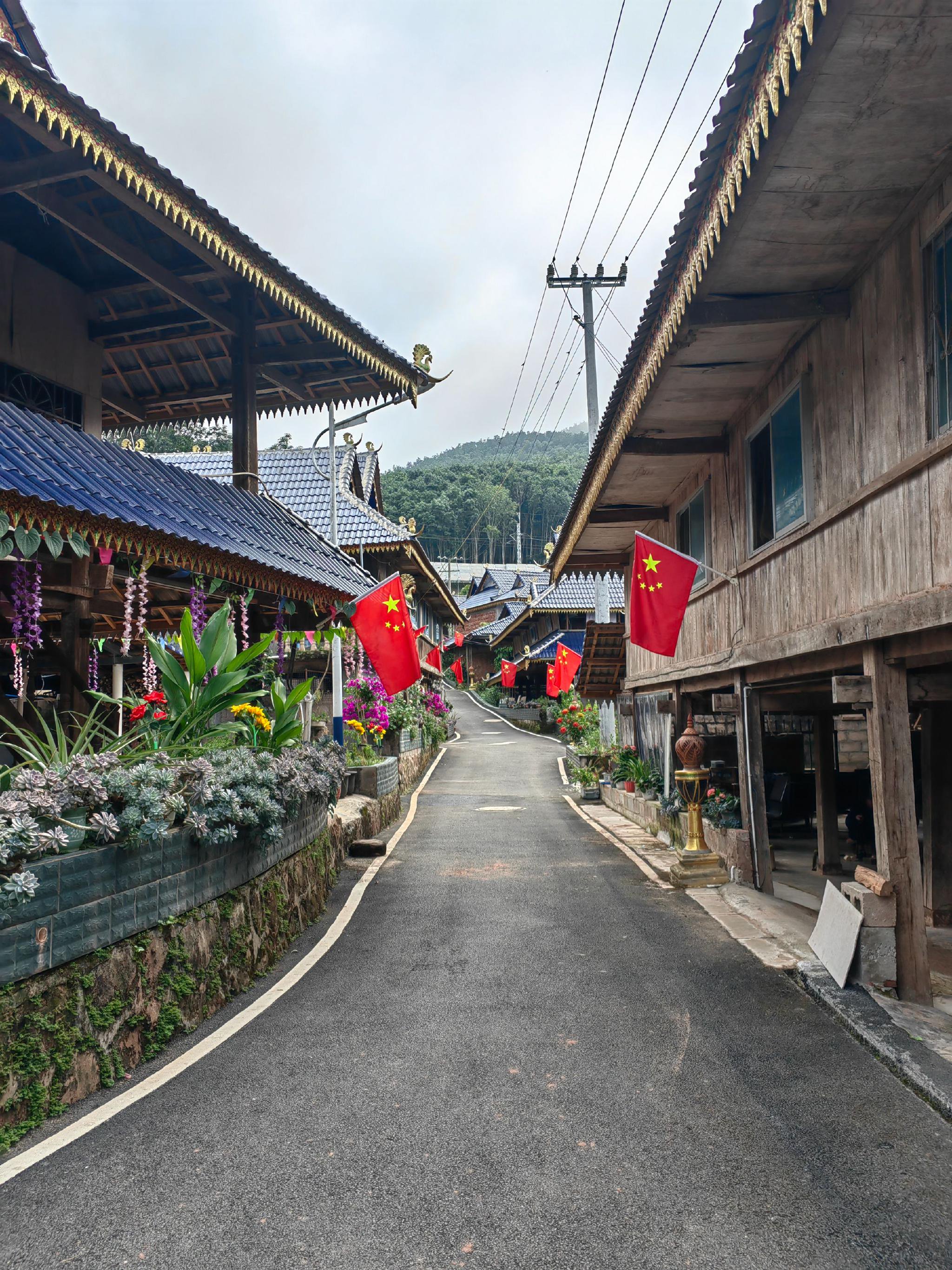从边境小镇到开放高地省会托管的磨憨大放异彩丨云南调研行