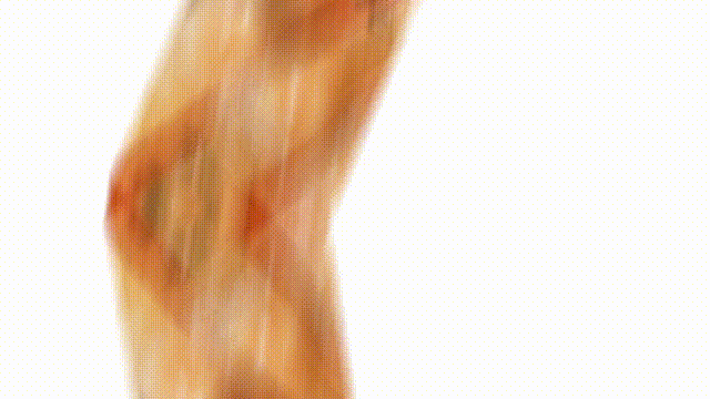 △图源 高要发布 