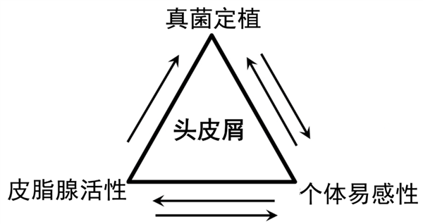 洗头忽略了这一点 头皮屑永远洗不干净！