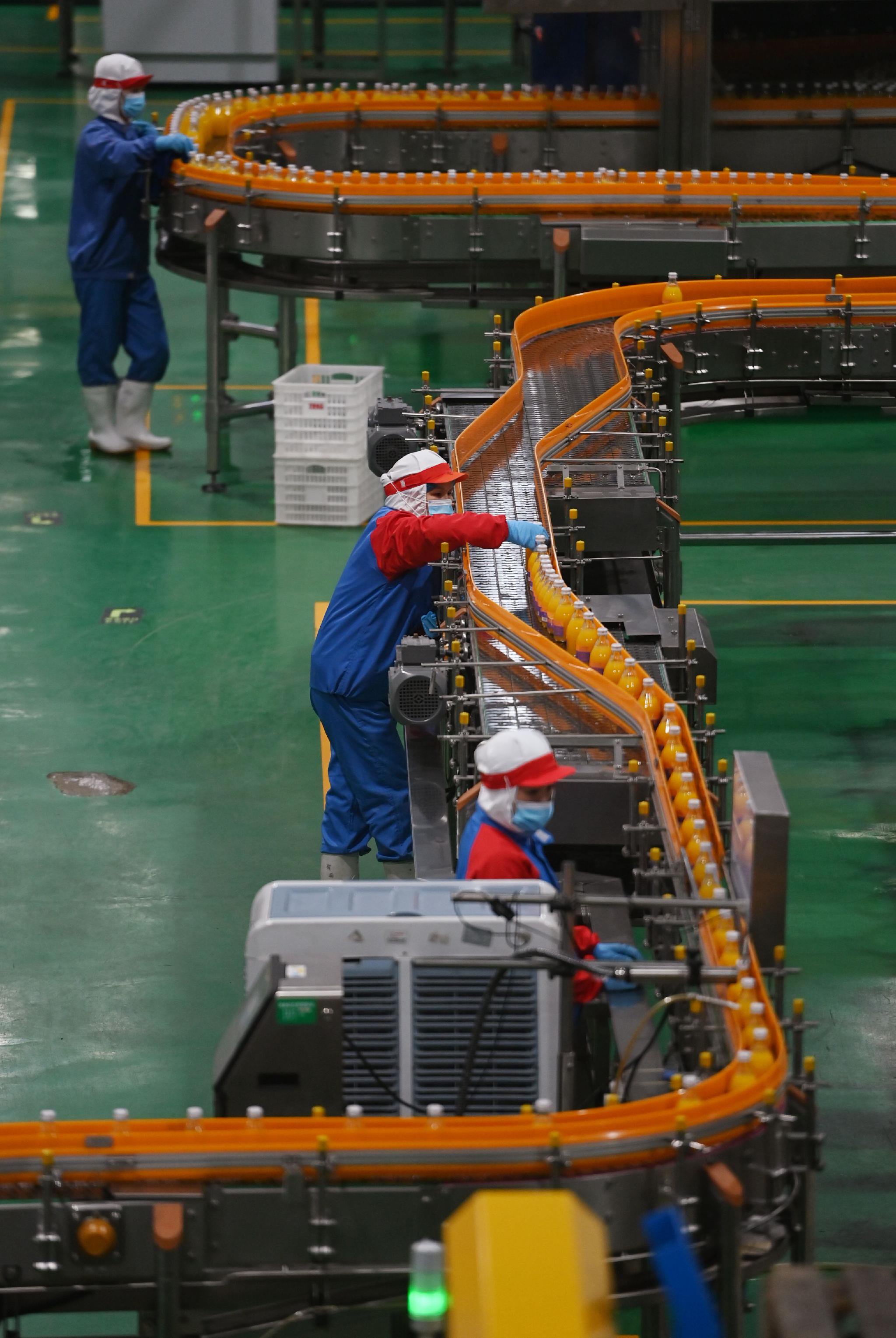 12月5日,在浙江艾佳果蔬开发有限责任公司生产车间内,工人们在生产线