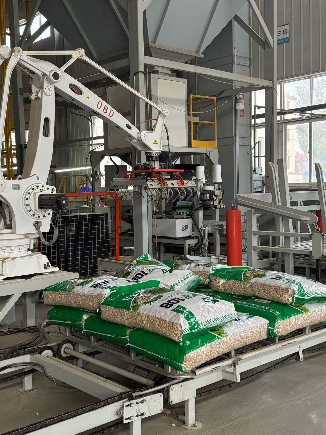 （胶平食品有限公司种子加工车间正在紧张的加工花生种子。财联社记者 摄）