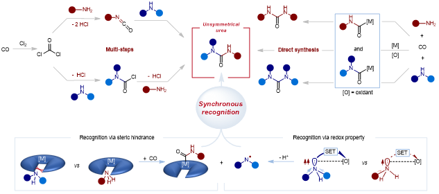 ▲ 光气法分步合成与催化羰基化合成非对称脲；同步识别策略一步合成非对称脲。