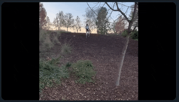 另外，光是山坡路面还不算完，Optimus散步时还经过了一片松树林。