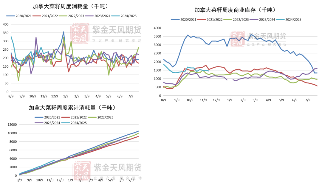 数据来源：加拿大农业部，紫金天风期货研究所