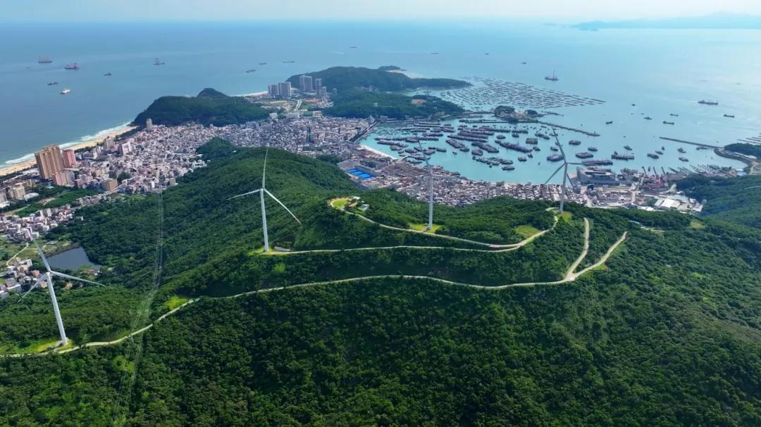海陵鹅岭风电场发电量创新高!生态经济共融共生|风电场_新浪财经_新浪网
