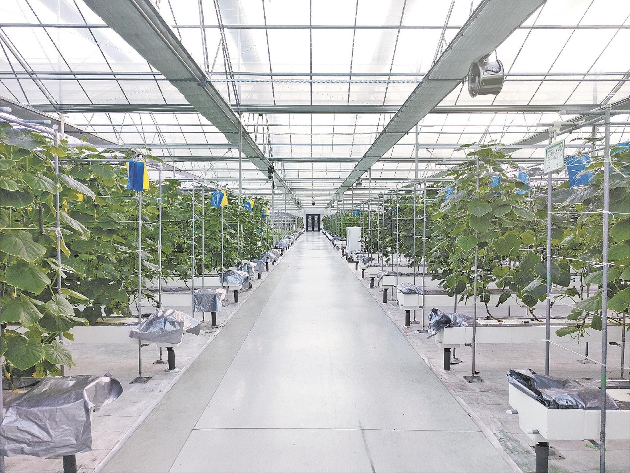 宁波再增16家省级数字农业工厂