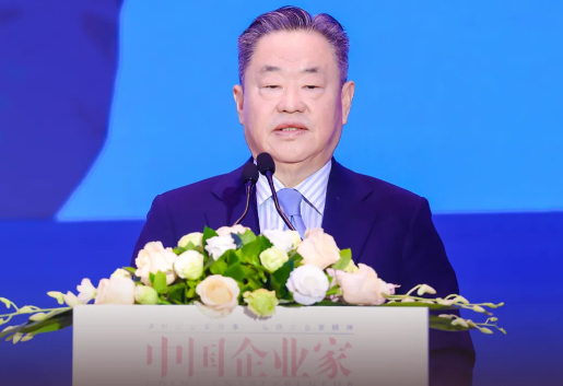 宁高宁:中国企业未来会进入一个全新发展模式__财经头条