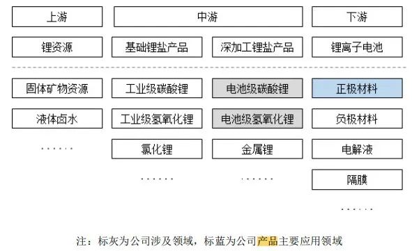 天华新能（300390）强势上涨分析：锂电材料价格驱动与板块景气度提升