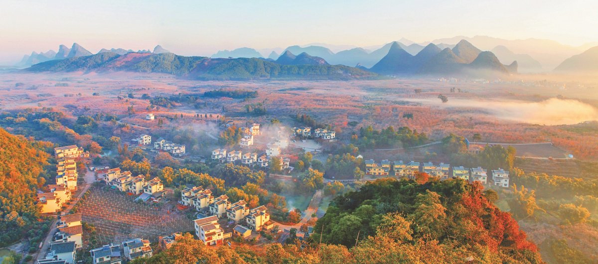 秋冬时节,在"月柿之乡"恭城瑶族自治县莲花镇红岩村,成熟的柿子挂满