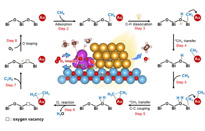 图|甲烷氧化偶联反应机理（来源：ScienceAdvances）