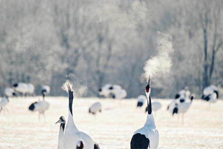 富士XF100-400mm F4.5-5.6 R LM OIS WR官方样片，by：William Chua