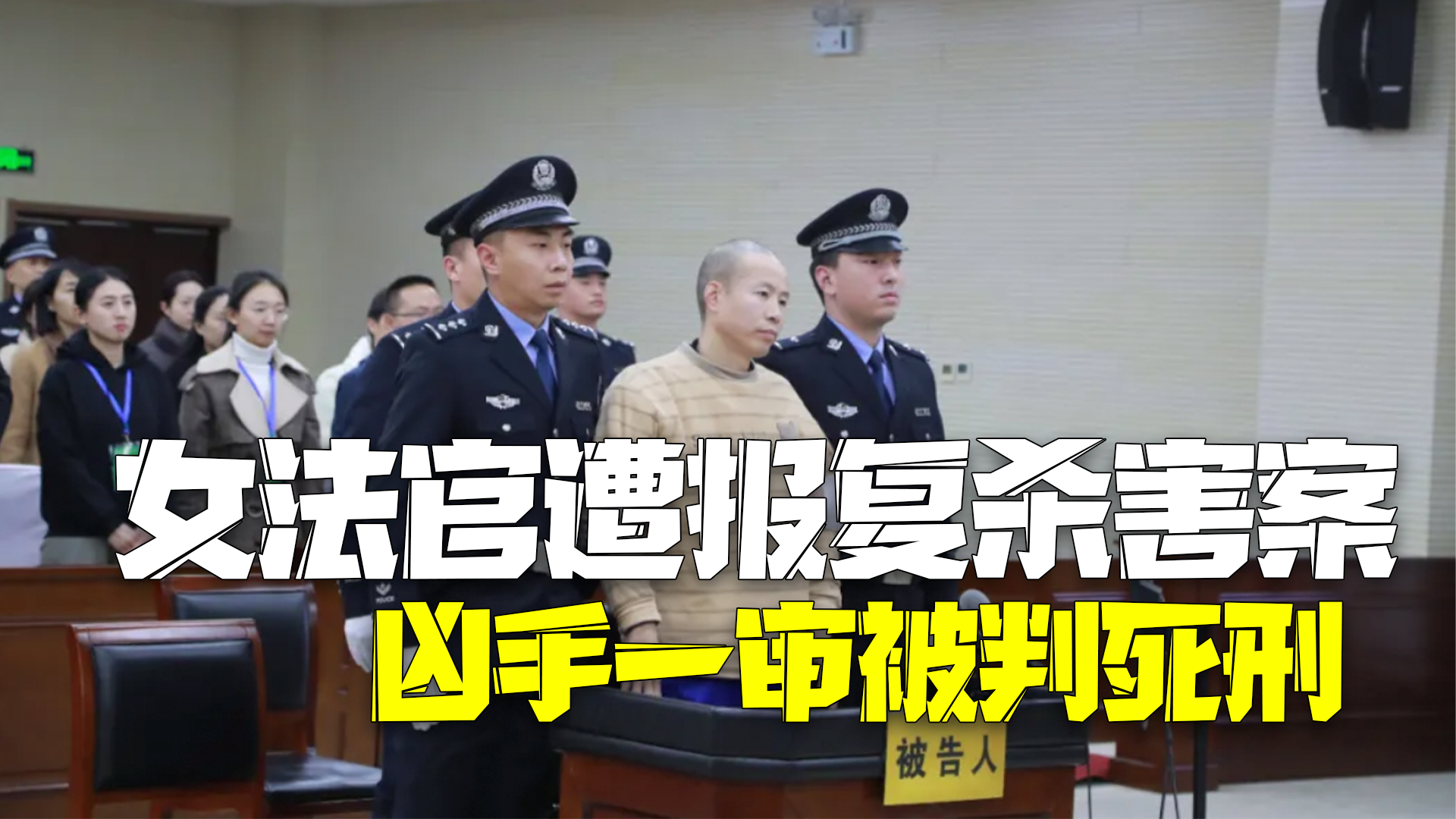 女法官遭报复杀害案一审宣判 凶手党志军被判处死刑_新浪财经_新浪网