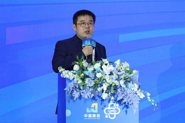 杭州昇腾生态改进中心CTO叶一波作东题演讲