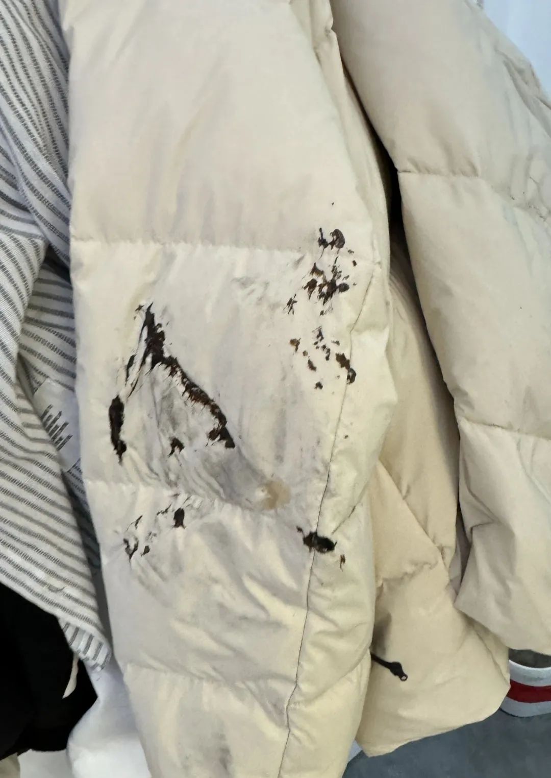 救人后,陈竹破损的羽绒服 受访者供图