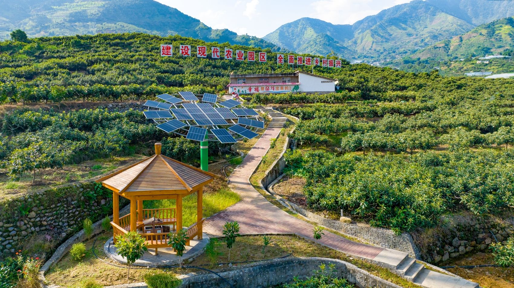 米易县草场镇龙华村。